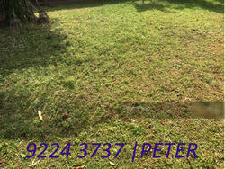 Hong Kong Park (D21), Detached #137889502
